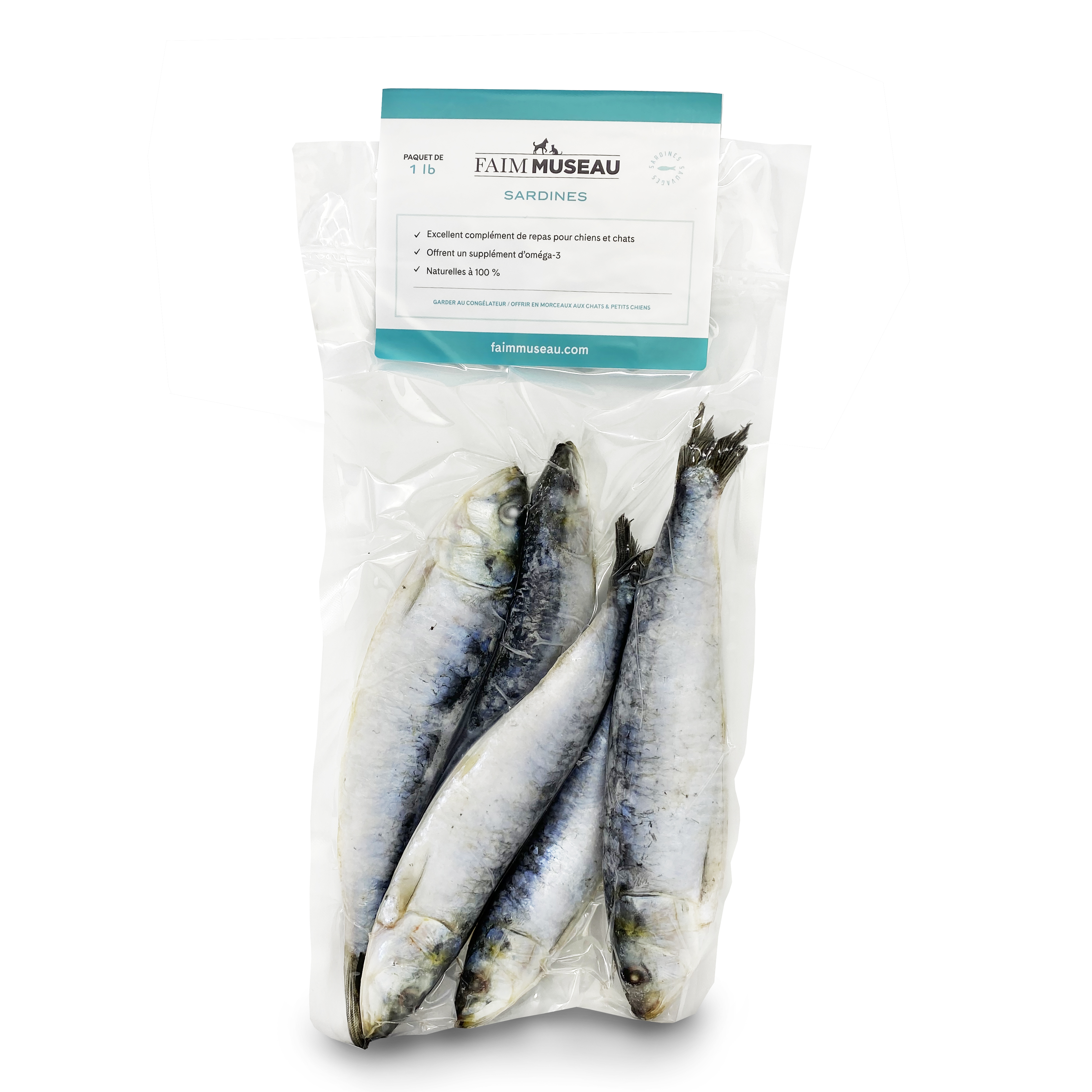 Sardines for dogs Why How to Offer and Them Faim Museau