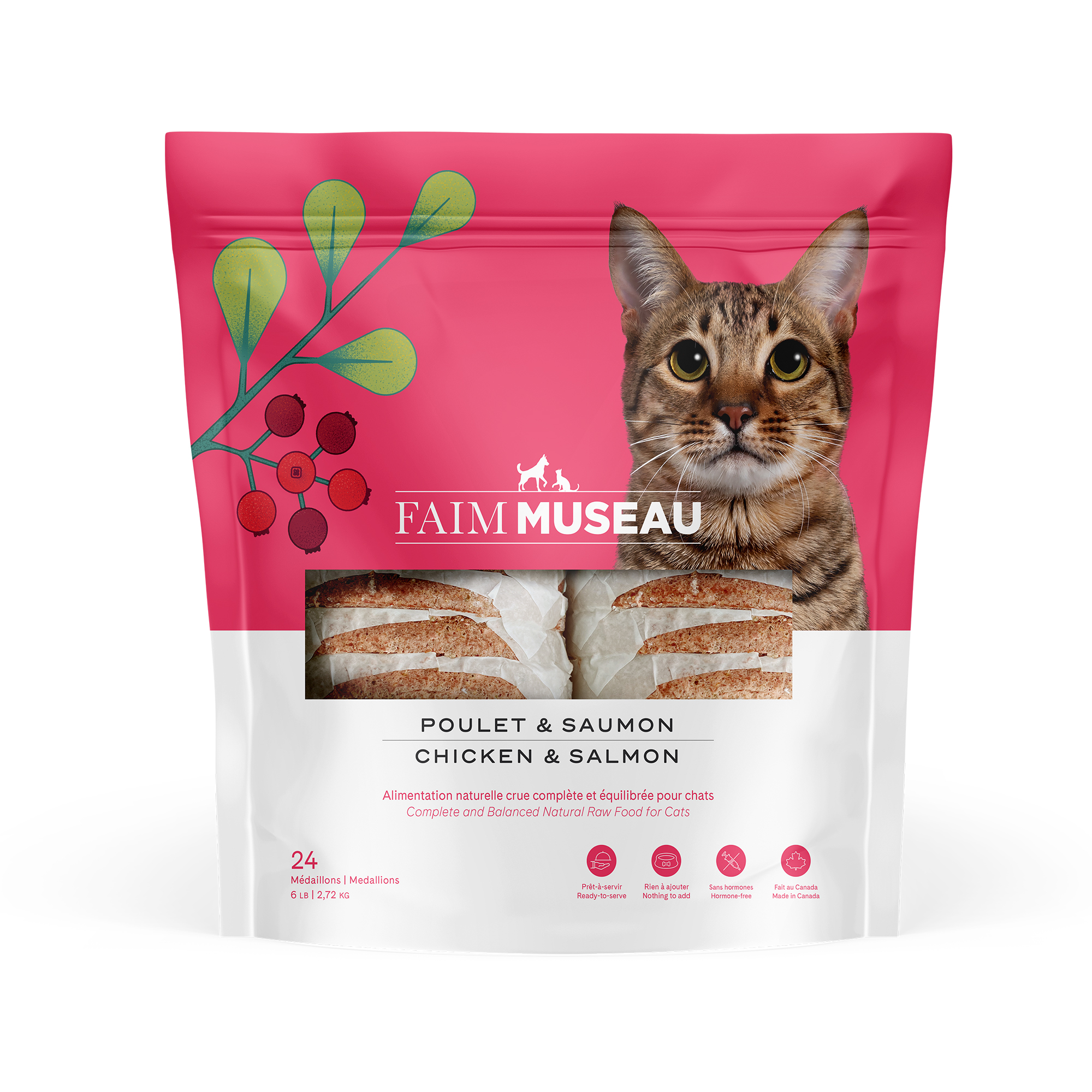 Sac de nourriture crue pour chat recette Poulet & Saumon