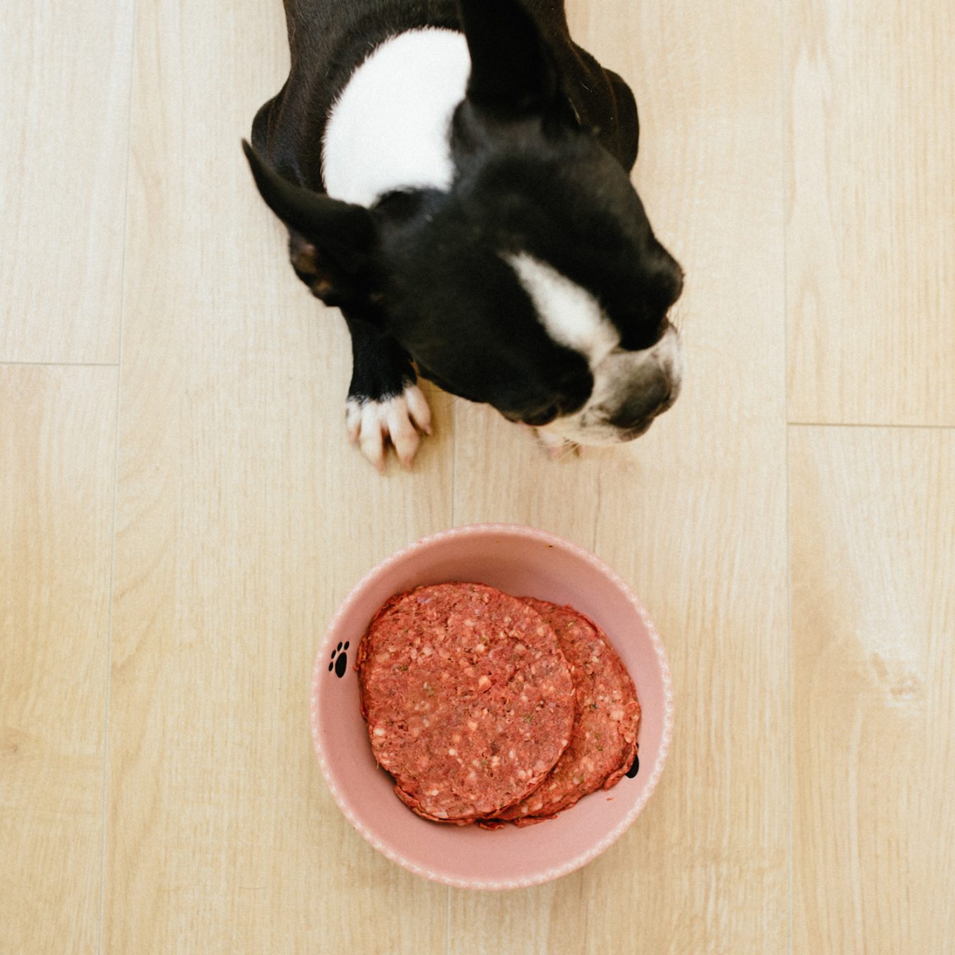 Duck Dog Food in Canada | Hypoallergenic Food | Faim Museau - Hypoallergenic Duck Dog Food For Sensitive Breeds