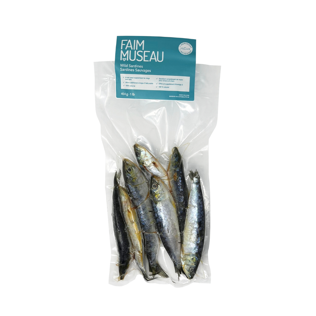Sardines – Raw Feeding Miami