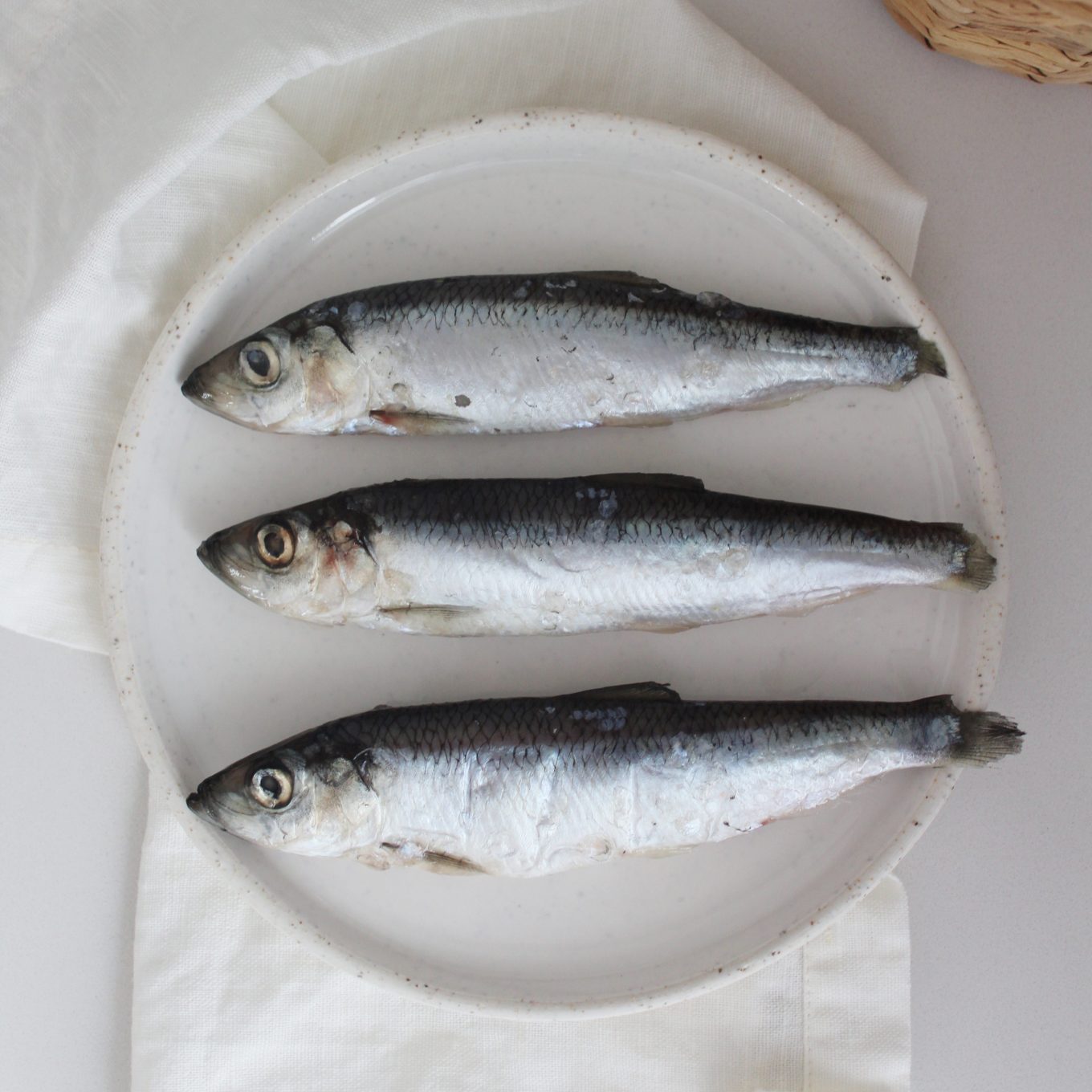 Fresh Whole Sardines for Dogs & Cats Faim Museau
