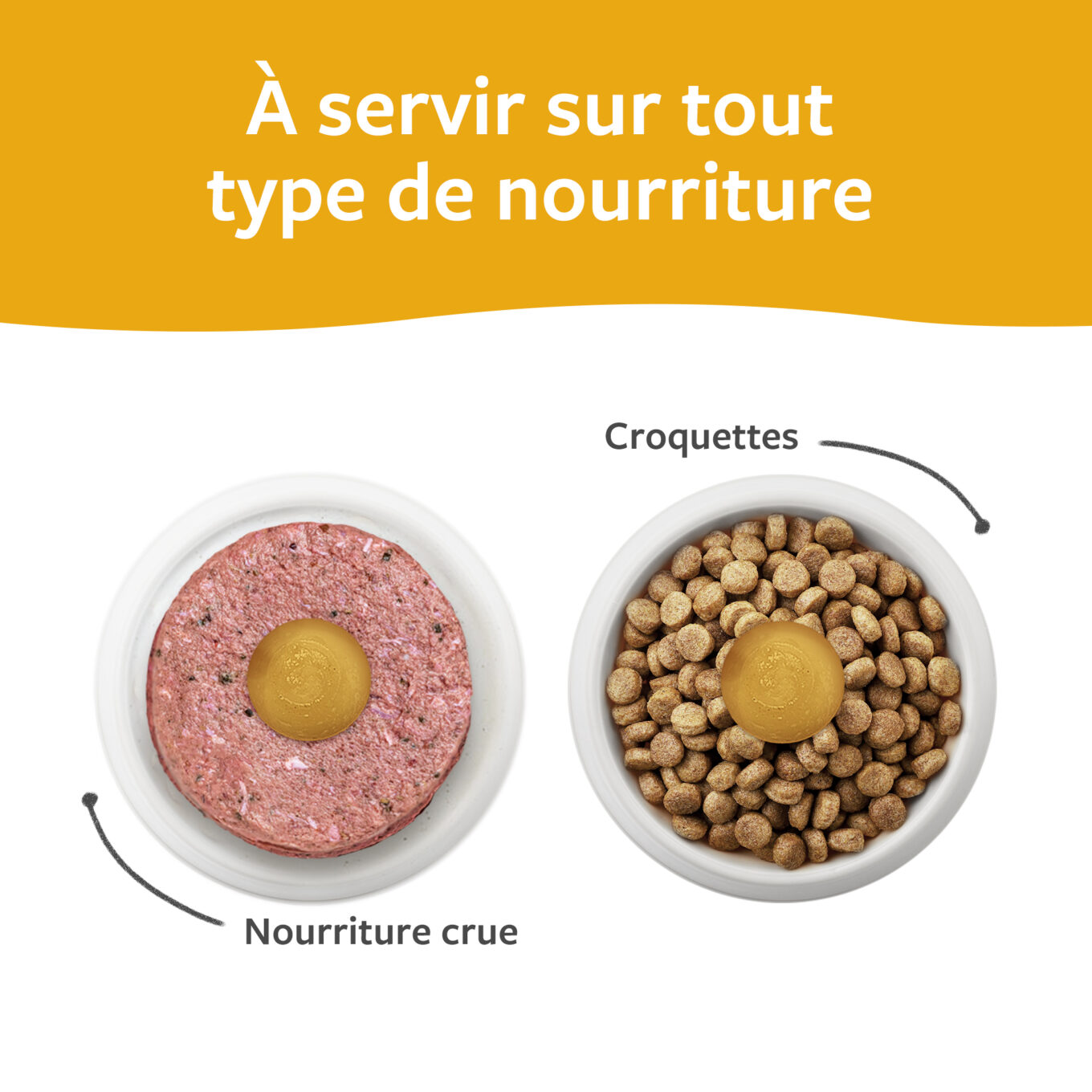 Le p'tit bouillon Gâteries pour chiens Faim Museau